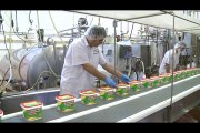 Orangeville , Triple A Cheese Co. Ltd. | Largest Feta Cheese Manufacturer in Canada.