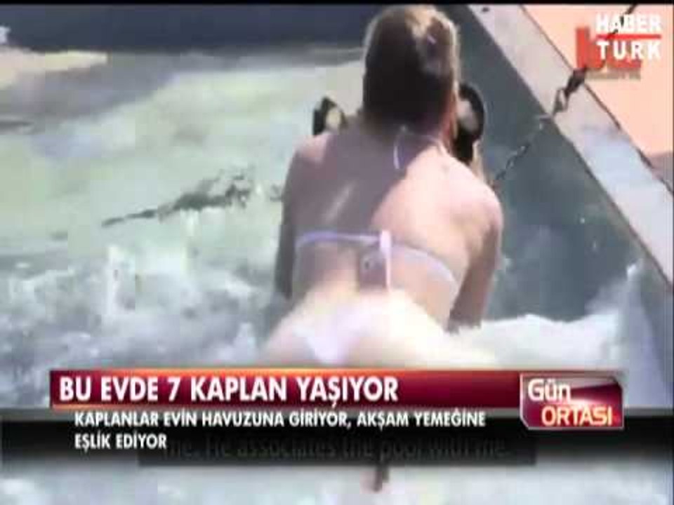 Bu evde 7 kaplan yaşıyor