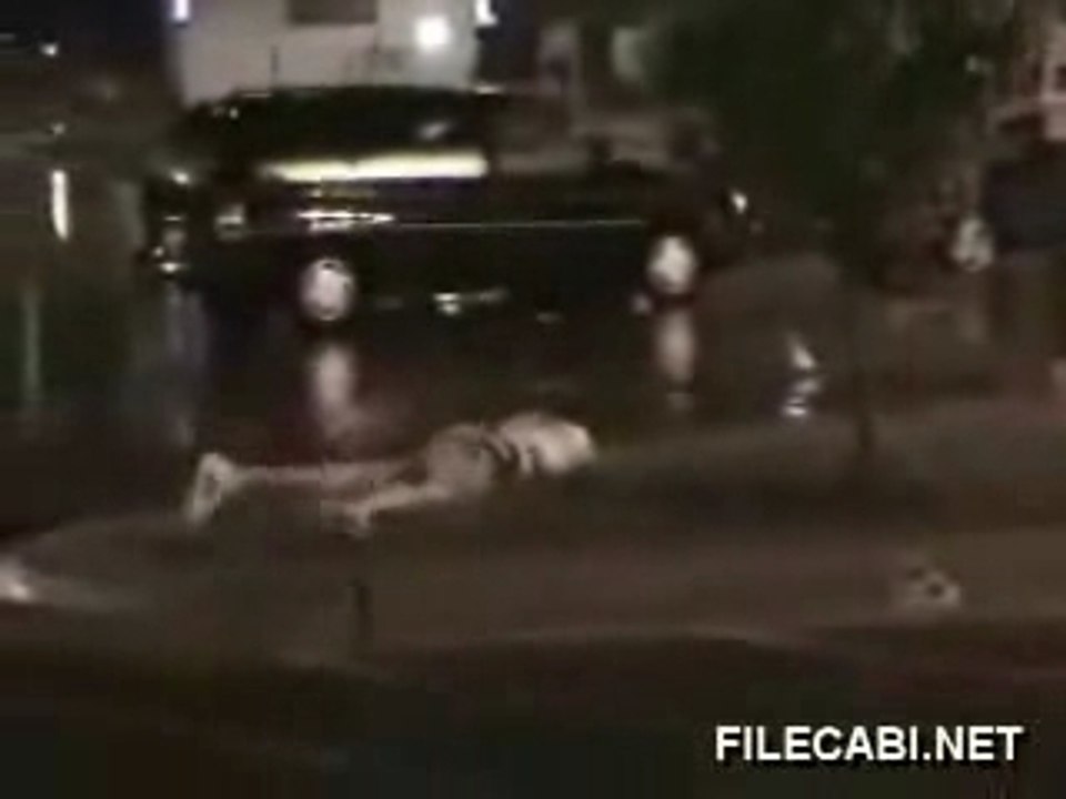 webchoc - Panneau Stop en pleine tronche