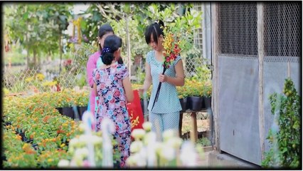 TÊT MIỀN TÂY - DƯƠNG HỒNG LOAN