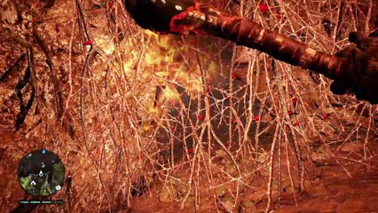 Far Cry® Primal épisode 4 On découvre des choses caché