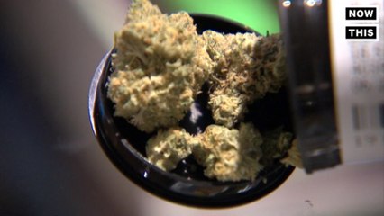 German Doctors Will Be Able to Prescribe Weed