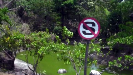 jatim park Angsa Berenang Tanda tak dalam