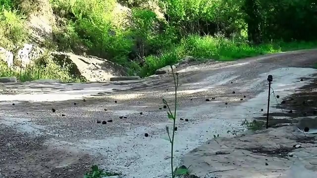 Toyota Yaris WRC 2017 Test - CRASH