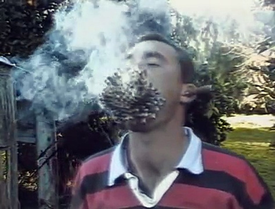 Les nuls, Regis est un con!!!