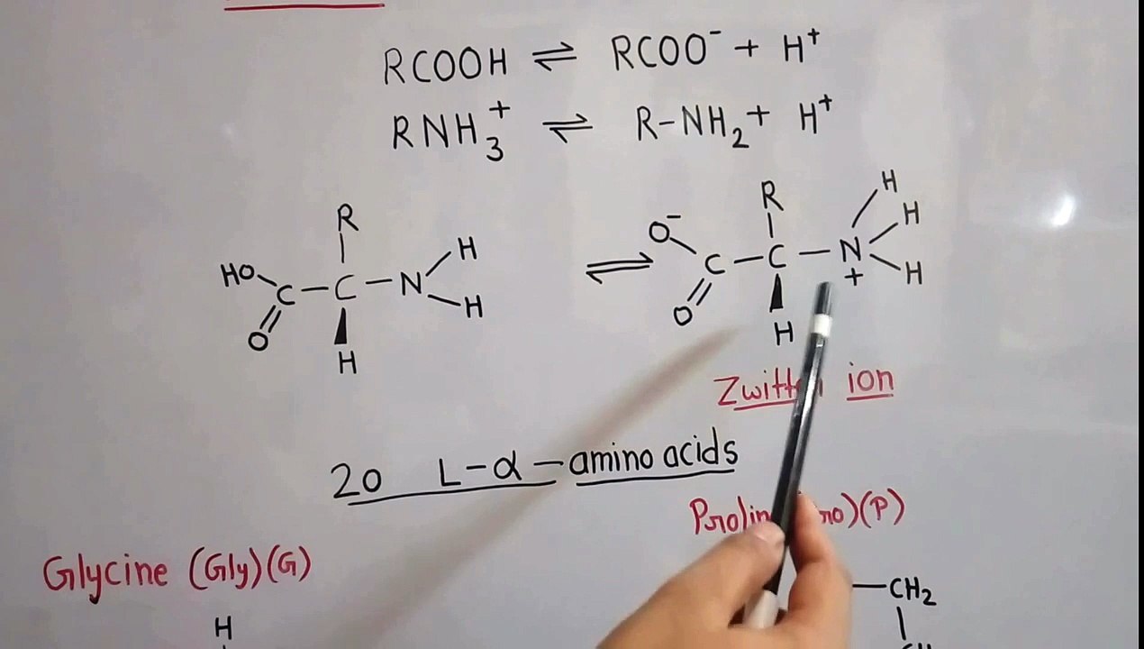 Amino acid 1