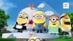 Despicable Me 2 Minions Cartoon Finger Family | Despicable Daddy Finger Songs | Finger Songs