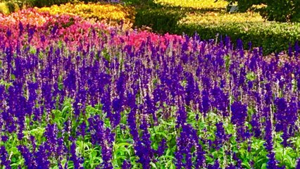 Travels 2016 - Bratislava and Vienna