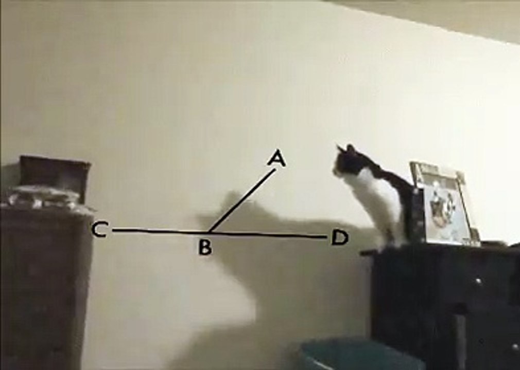 Кошак и тригонометрия