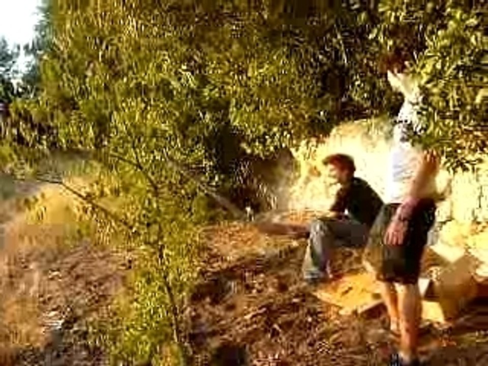 PATATOR TIR AVEC CANON