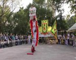 Human Mobile Stage 112B  (WMV), 2017 Kung Fu Corner Show, Lion Dance Fung Fu