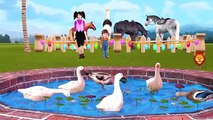 Learn Colours, Names, Sounds, Alphabets With Animals Cartoons | Dinosaurs Finger Family Videos