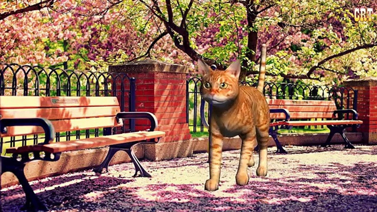 The Pussy Cat Nursery Rhymes | Nursery Rhymes For Children