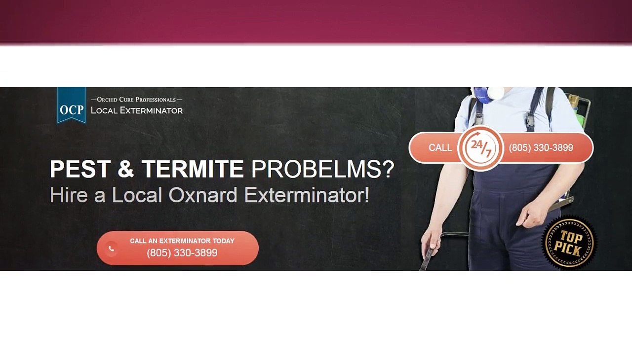 OCP Termite & Pest Control Service in Oxnard