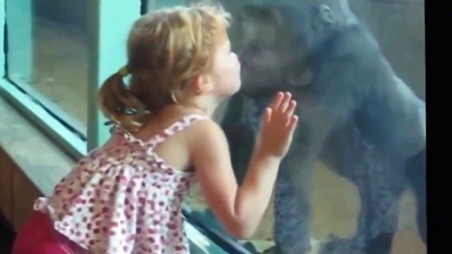 прикол здравствуйте дети | видео приколы над детьми - [Июль 2015]