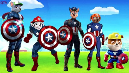Paw Patrol Captain America Finger Family Songs For Kids Nursery Rhymes Lyrics