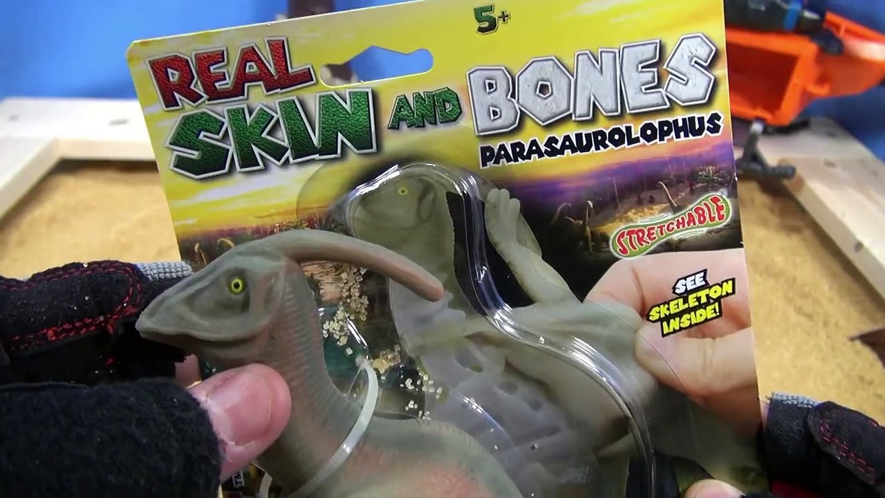 Dinosaur Real Skin & Bones - Glow In The Dark Toy Model Surprises