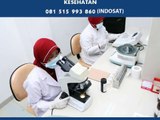 HUB. 081 515 993 860 (INDOSAT) - Supplier Alat Laboratorium Klinik