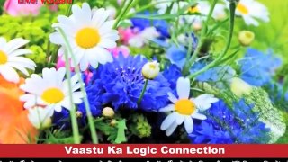 How Flowers Change Life- Use Artificial Flowers in Your Home, Vastu Tips