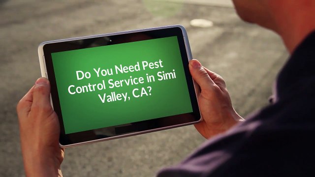 OCP Termite & Pest Control Company in Simi ValleyOCP Termite & Pest Control Company in Simi Valley