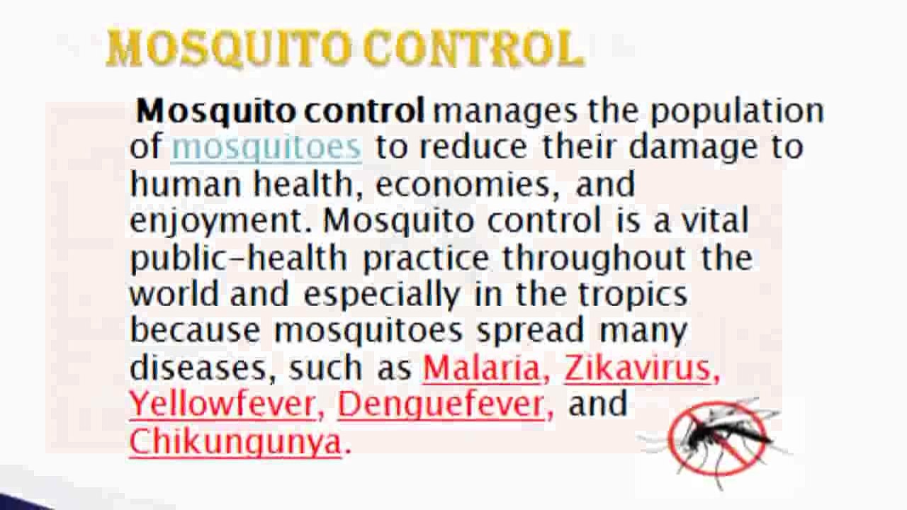 Mosquito Control