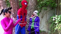Spiderman & Frozen Elsa + babies! w/ Pink Spidergirl, Catwoman, Hulk baby, Spiderbaby,