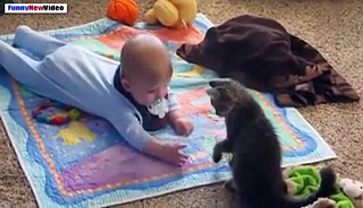 Funny Baby Playing With Puppy Dog.. It's Just Lovely..