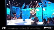 TPMP : les chroniqueurs répondent très violemment à Brigitte Bardot (vidéo)