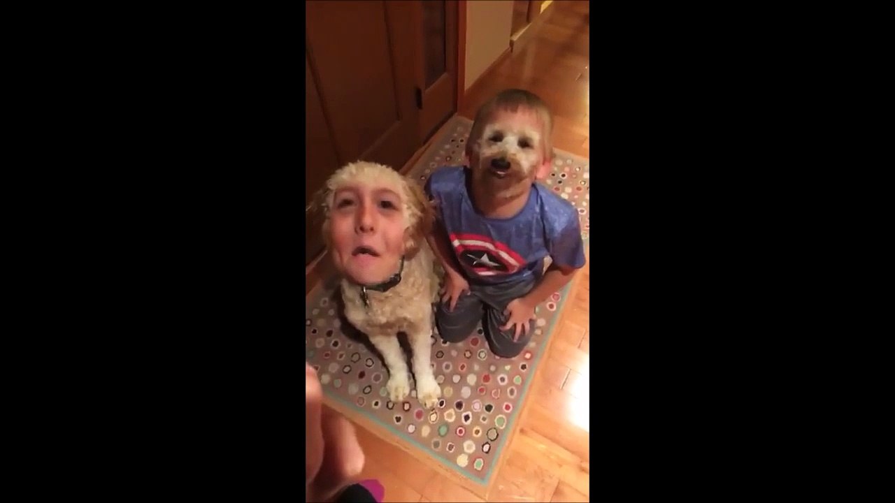 Face swap sur snapchat entre un gamin et son chien... Juste flippant!
