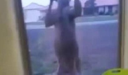 Aç kalınca kapıya dayandı, görenler inanamadı