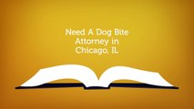 Marc J Shuman Dog Bite Attorney in Chicago, IL