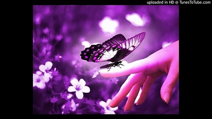 Ehsan Sehgal Prose Poem-The Butterflies