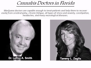 Cannabis Doctors in Florida - cbd-docs.com