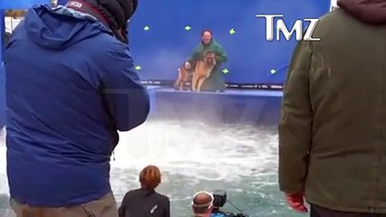 Maltraitance : un dresseur effraie un chien pour les besoins d'un film