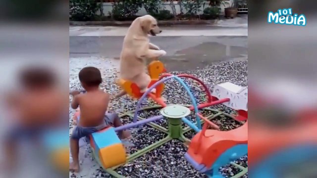 ПРИКОЛЫ 2016 ДЕКАБРЬ ЛУЧШИЕ|СМЕШНЫЕ ВИДЕО|СТАРАЙСЯ НЕ УЛЫБАТЬСЯ|НЕ ДЕТСКИЕ ПРИКОЛЫ|ТОПовая подборка