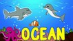 Ocean Animals for Kids - Sea Animal Songs for Children - Learning to Spell - Toddlers Preschool