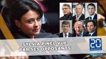 Sylvia Pinel vue par ses opposants