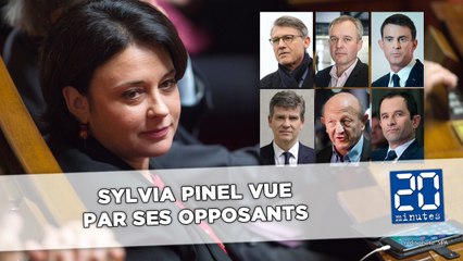 Sylvia Pinel vue par ses opposants