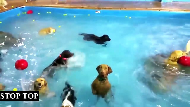 УЛЕТНАЯ ПОДБОРКА