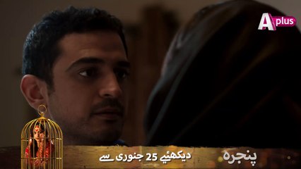 Pinjra Starting From 25th January Wednesday at 8:10pm