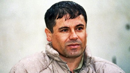 Notorious drug lord 'El Chapo' extradited to US