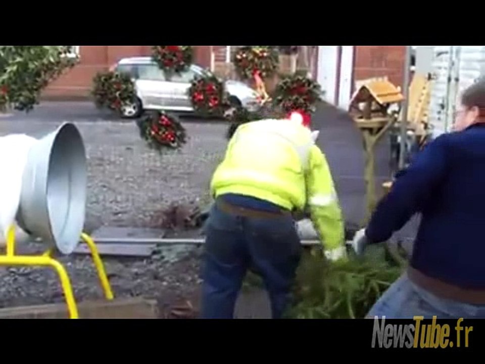 C'est pas cool les sapins de noël...