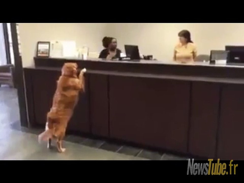 j'ai eu une contribution