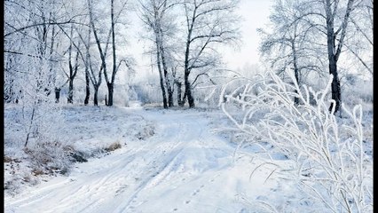 Les 4 saisons de Vivaldi - Hiver - 2eme mouvement - Largo - Musique classique