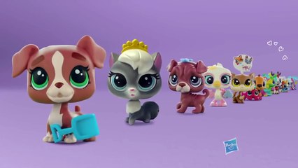 Hasbro - Littlest Pet Shop - LPS Mascota-Movil - B3806 - TV Toys