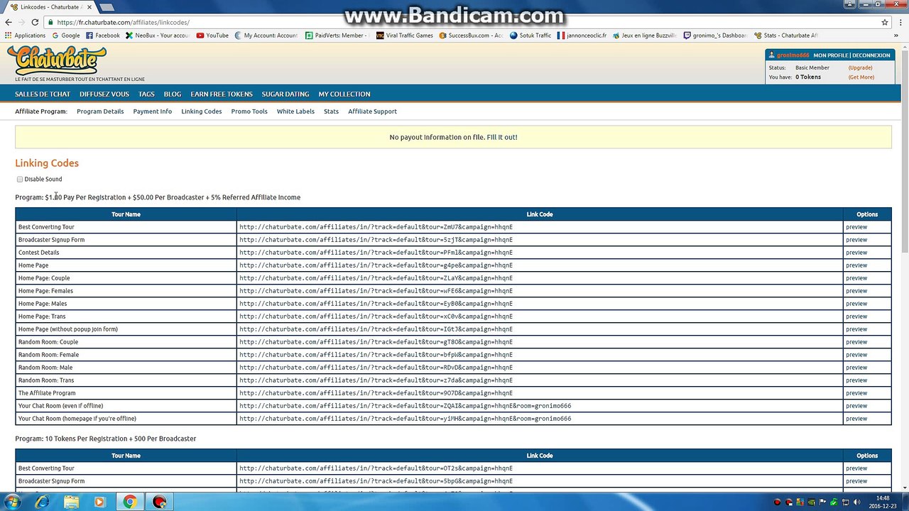 Faire de largent avec un site pour adhult