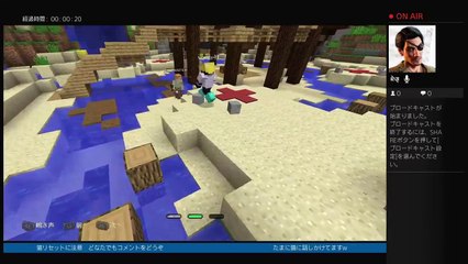のんびり？マイクラ (7)