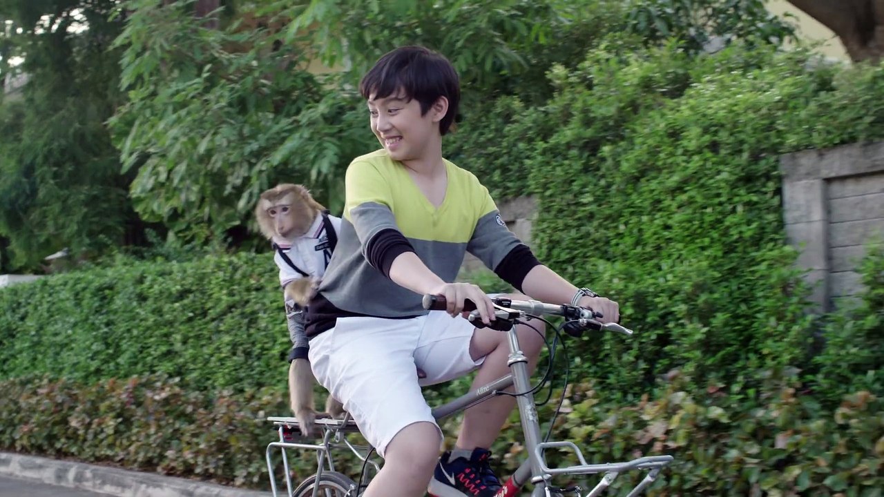 Haier Commercial with Adopted Monkey - Inspiring Advertisement