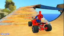Finger Family Nursery Rhymes & Spiderman More Songs for Childrens Collection with Action