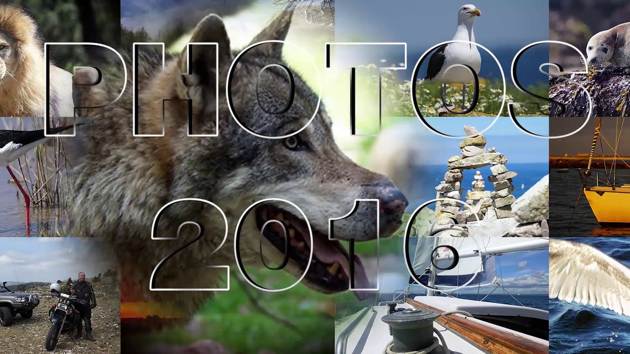 Rétro 2016
